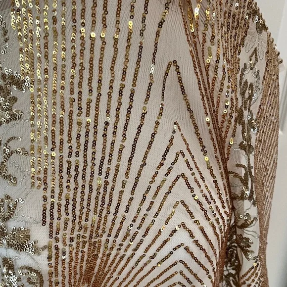 Rose Gold Sequin Embellished Shawl - Picture 3 of 5